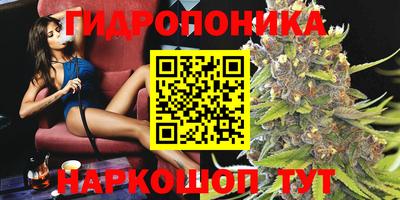 соль ск Аргун