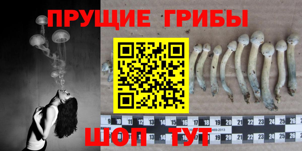 Псилоцибиновые грибы мухоморы Артёмовский